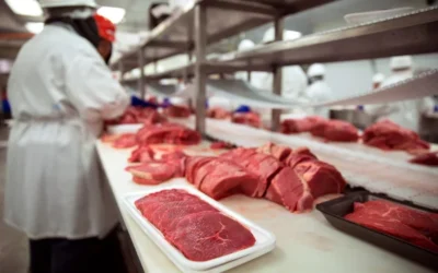 Carne bovina: Volume exportado alcança 97,2 mil toneladas até segunda semana de Junho/24